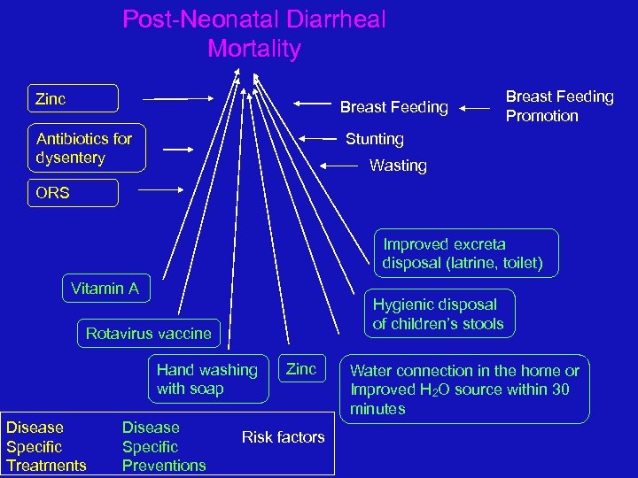 Post-Neonatal Diarrheal Mortality Zinc Breast Feeding Antibiotics for dysentery Breast Feeding Promotion Stunting Wasting