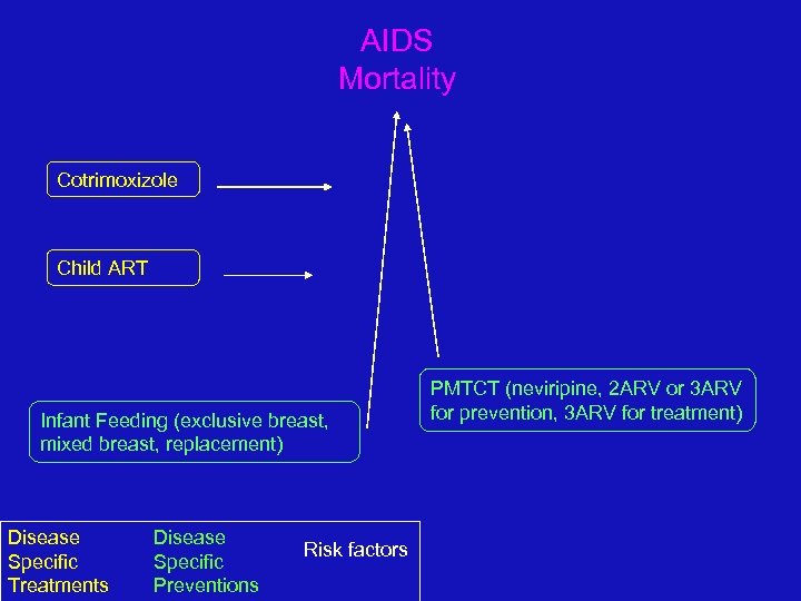 AIDS Mortality Cotrimoxizole Child ART Infant Feeding (exclusive breast, mixed breast, replacement) Disease Specific