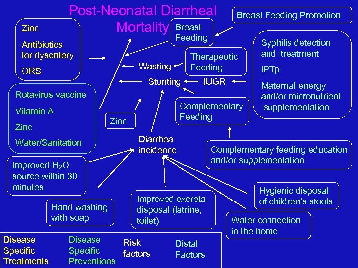 Post-Neonatal Diarrheal Mortality Breast Zinc Breast Feeding Promotion Feeding Antibiotics for dysentery Therapeutic Feeding