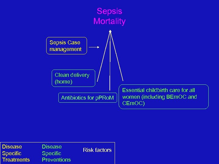 Sepsis Mortality Sepsis Case management Clean delivery (home) Antibiotics for p. PRo. M Disease