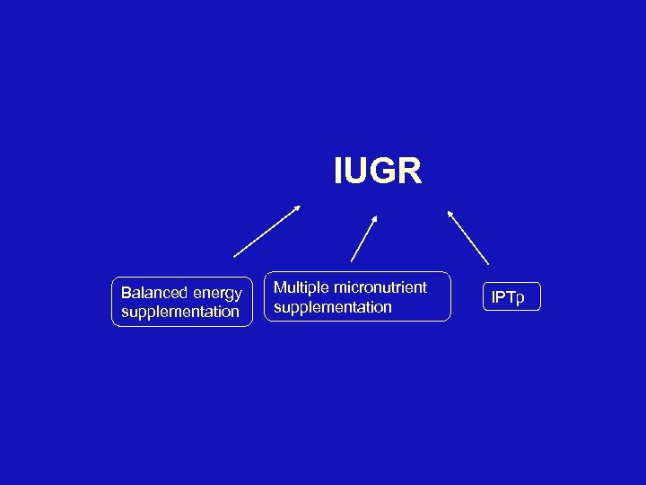 IUGR Balanced energy supplementation Multiple micronutrient supplementation IPTp 