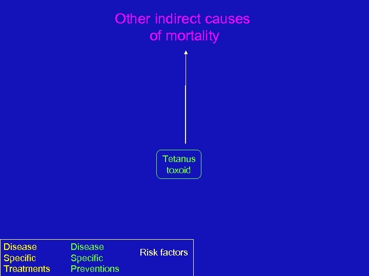 Other indirect causes of mortality Tetanus toxoid Disease Specific Treatments Disease Specific Preventions Risk