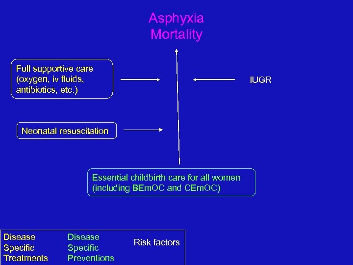 Asphyxia Mortality Full supportive care (oxygen, iv fluids, antibiotics, etc. ) IUGR Neonatal resuscitation