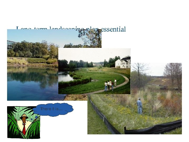 Long-term landscaping plan essential There it is… 