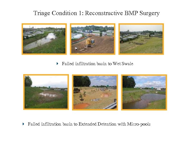 Triage Condition 1: Reconstructive BMP Surgery 4 Failed infiltration basin to Wet Swale 4
