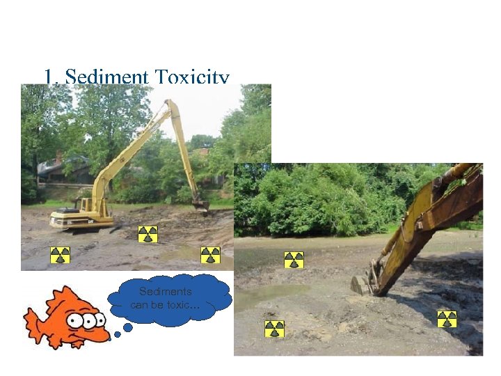 1. Sediment Toxicity Sediments can be toxic… 