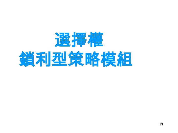 選擇權 鎖利型策略模組 19 