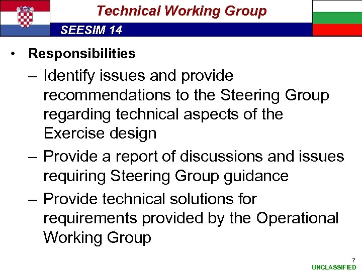 Technical Working Group SEESIM 14 • Responsibilities – Identify issues and provide recommendations to