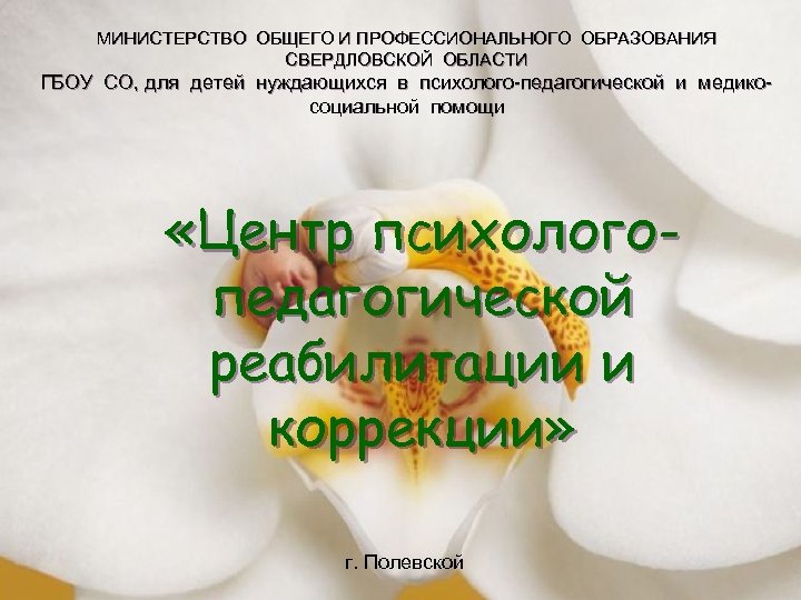 МИНИСТЕРСТВО ОБЩЕГО И ПРОФЕССИОНАЛЬНОГО ОБРАЗОВАНИЯ СВЕРДЛОВСКОЙ ОБЛАСТИ ГБОУ СО, для детей нуждающихся в психолого-педагогической