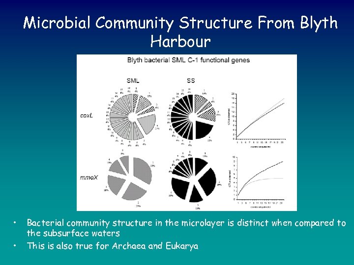 Microbial Community Structure From Blyth Harbour • • Bacterial community structure in the microlayer