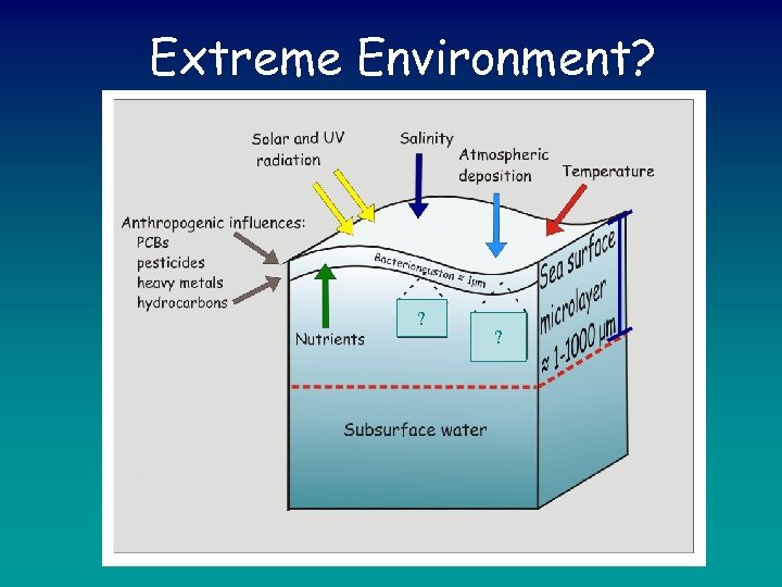 Extreme Environment? ? ? 