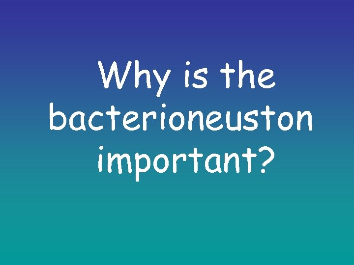 Why is the bacterioneuston important? 