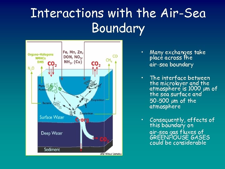 Interactions with the Air-Sea Boundary • Many exchanges take place across the air-sea boundary