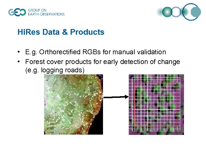 Hi. Res Data & Products • E. g. Orthorectified RGBs for manual validation •