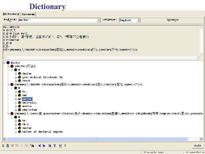 Dictionary 