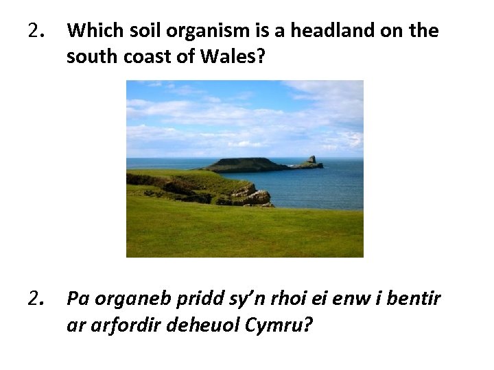 2. Which soil organism is a headland on the south coast of Wales? 2.