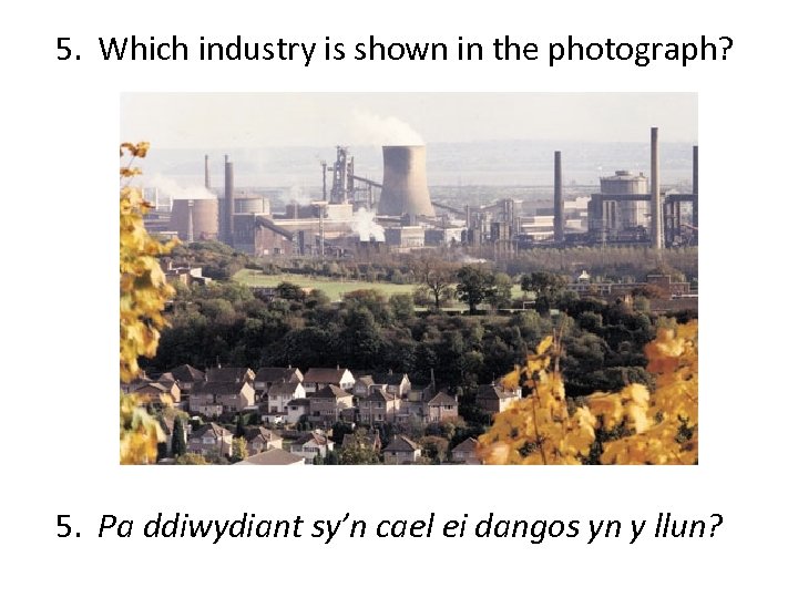 5. Which industry is shown in the photograph? 5. Pa ddiwydiant sy’n cael ei