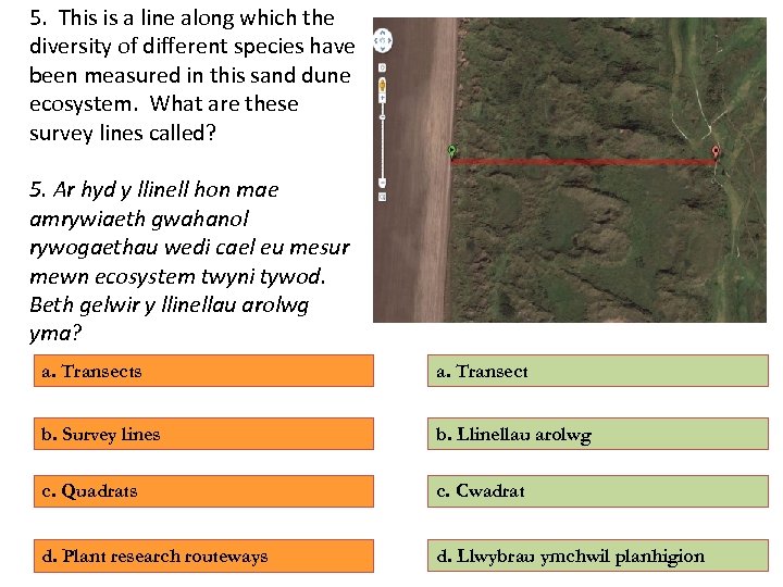 5. This is a line along which the diversity of different species have been