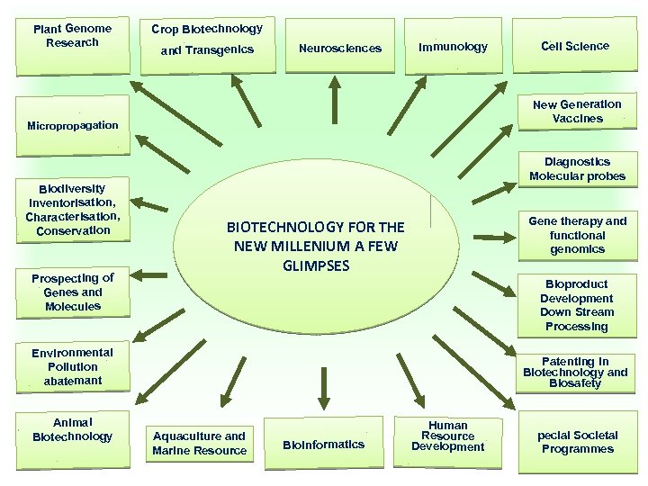 Plant Genome Research Crop Biotechnology and Transgenics Neurosciences Immunology New Generation Vaccines Micropropagation Biodiversity