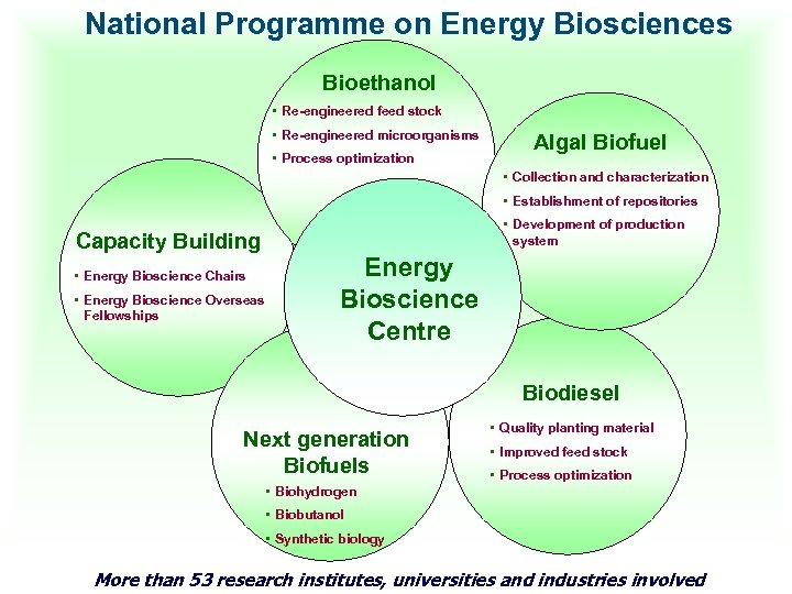 National Programme on Energy Biosciences Bioethanol • Re-engineered feed stock • Re-engineered microorganisms •