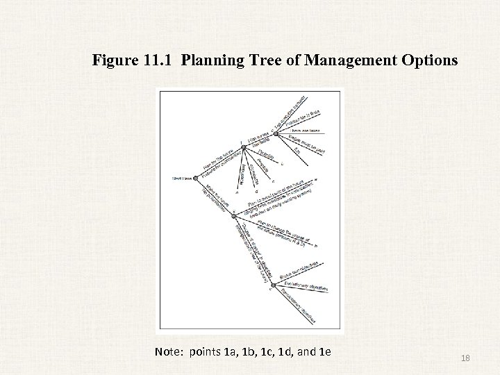 Figure 11. 1 Planning Tree of Management Options Note: points 1 a, 1 b,