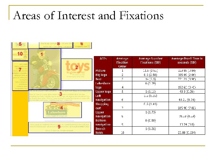 Areas of Interest and Fixations 