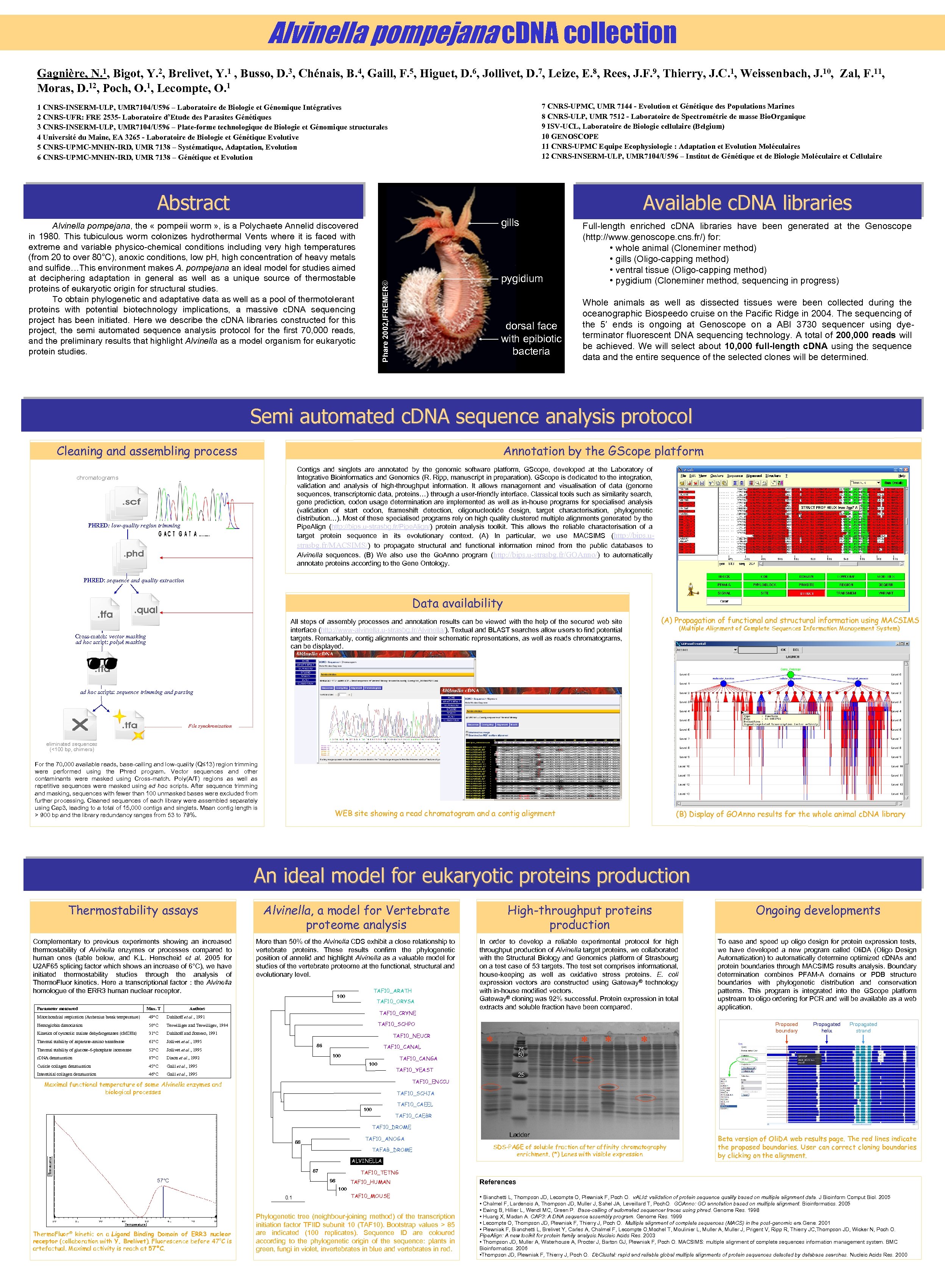 Alvinella pompejana c. DNA collection Gagnière, N. 1, Bigot, Y. 2, Brelivet, Y. 1