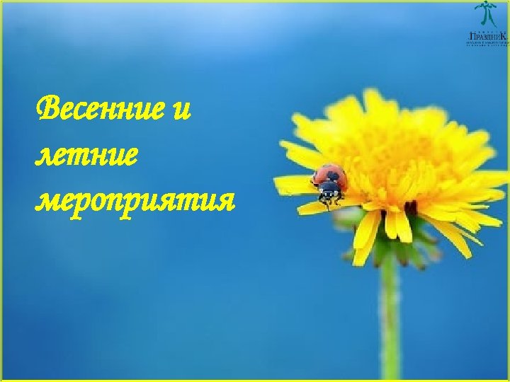 Весенние и летние мероприятия 