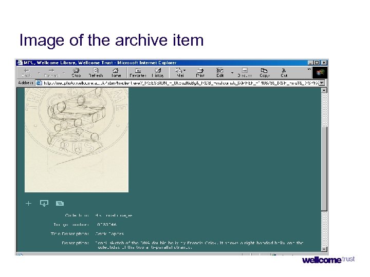 Image of the archive item 