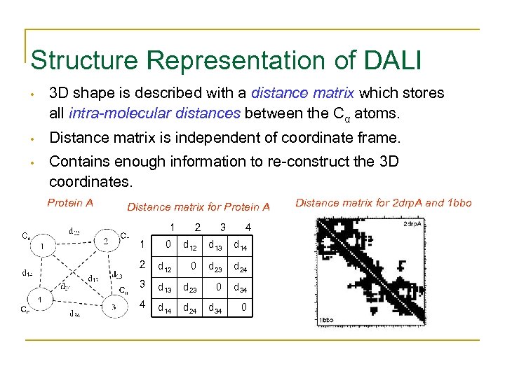 Structure Representation of DALI • 3 D shape is described with a distance matrix