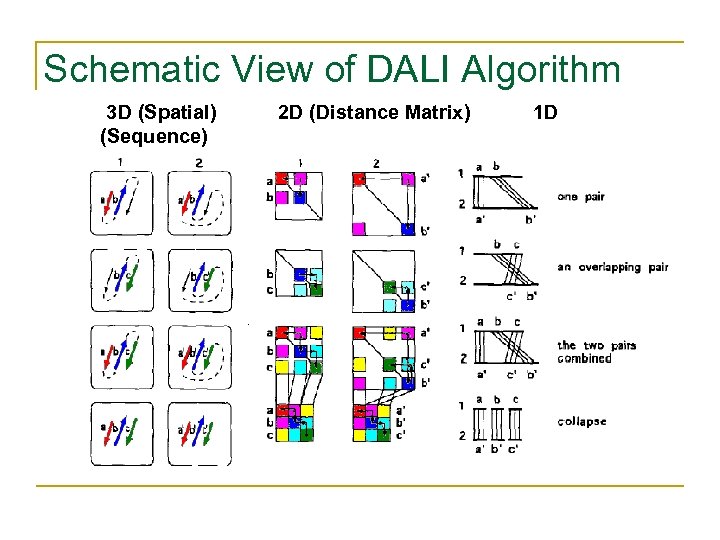 Schematic View of DALI Algorithm 3 D (Spatial) (Sequence) 2 D (Distance Matrix) 1