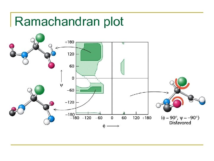 Ramachandran plot 