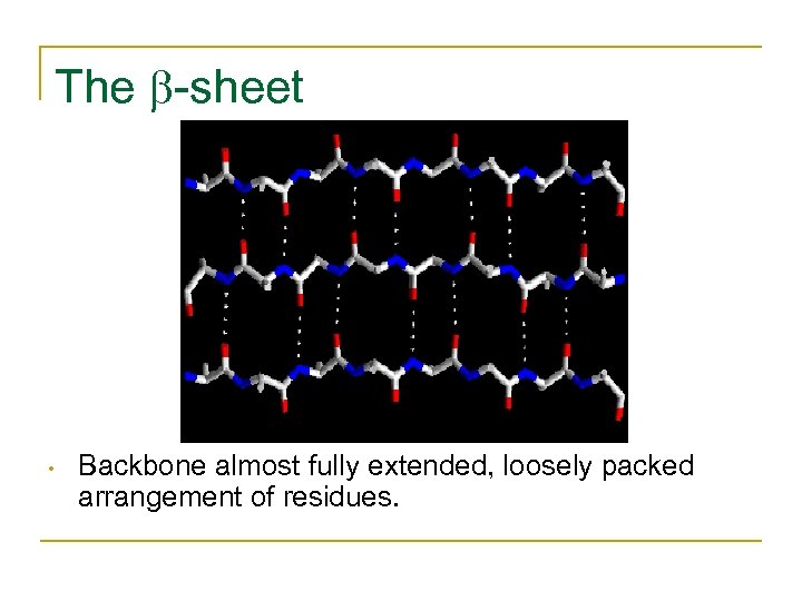 The -sheet • Backbone almost fully extended, loosely packed arrangement of residues. 