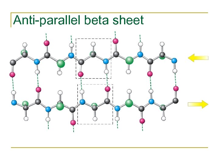 Anti-parallel beta sheet 