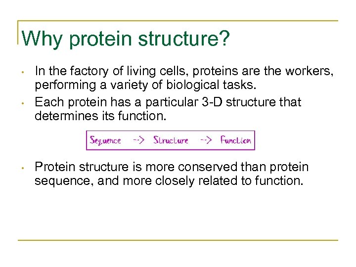 Why protein structure? • • • In the factory of living cells, proteins are