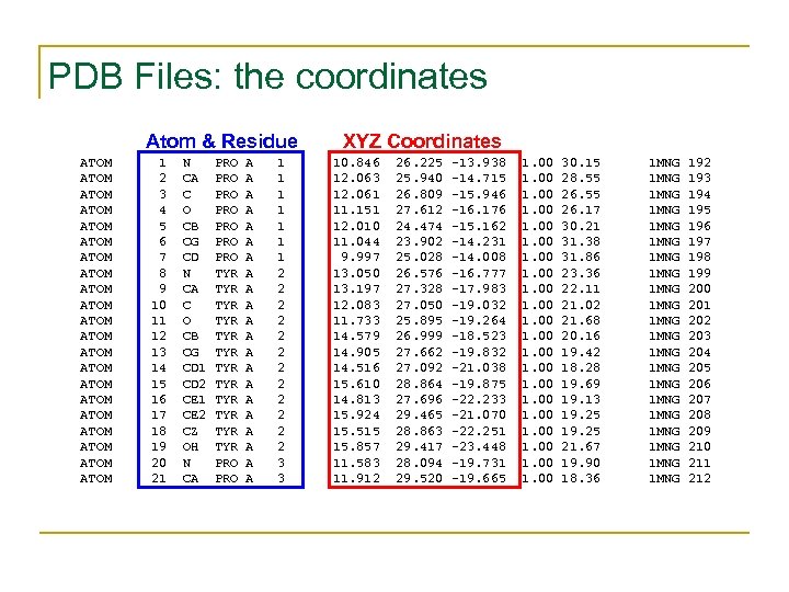 PDB Files: the coordinates Atom & Residue ATOM ATOM ATOM ATOM ATOM ATOM 1