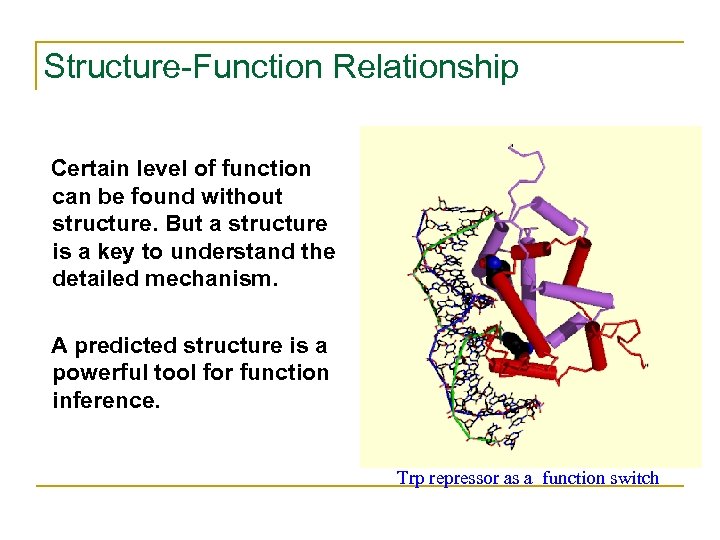 Structure-Function Relationship Certain level of function can be found without structure. But a structure