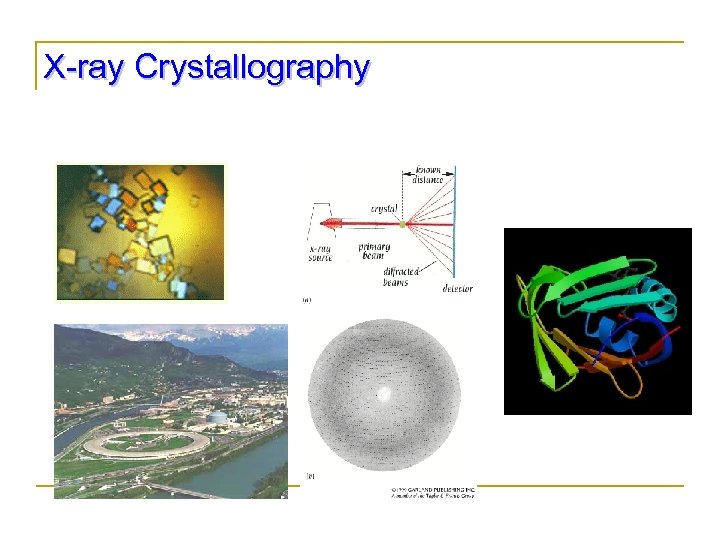 X-ray Crystallography 