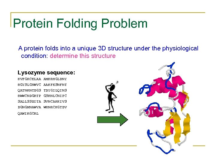 Protein Folding Problem A protein folds into a unique 3 D structure under the