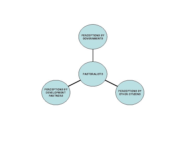 PERCEPTIONS BY GOVERNMENTS PASTORALISTS PERCEPTIONS BY DEVELOPMENT PARTNERS PERCEPTIONS BY OTHER CITIZENS 