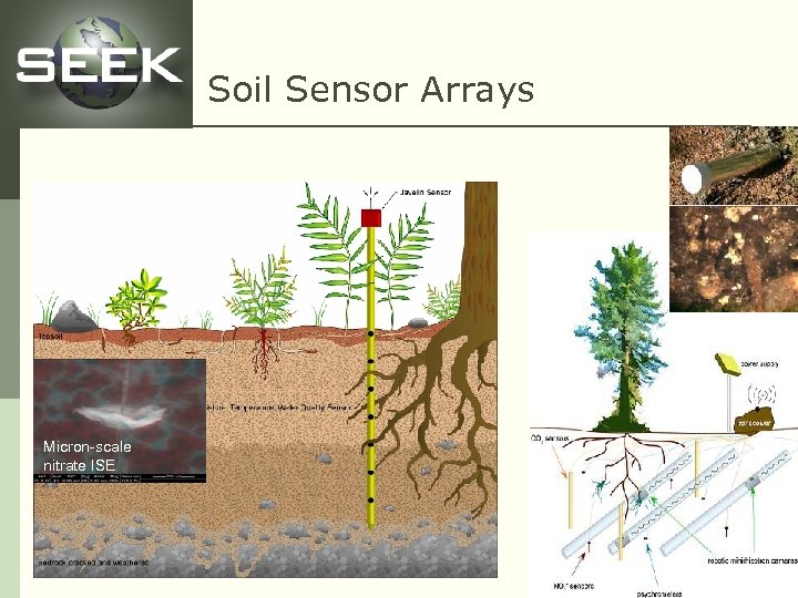 Soil Sensor Arrays Micron-scale nitrate ISE 