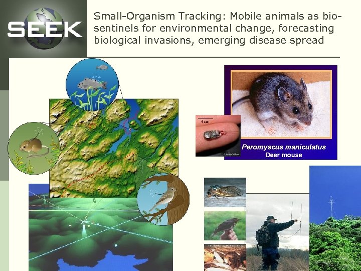 Small-Organism Tracking: Mobile animals as biosentinels for environmental change, forecasting biological invasions, emerging disease