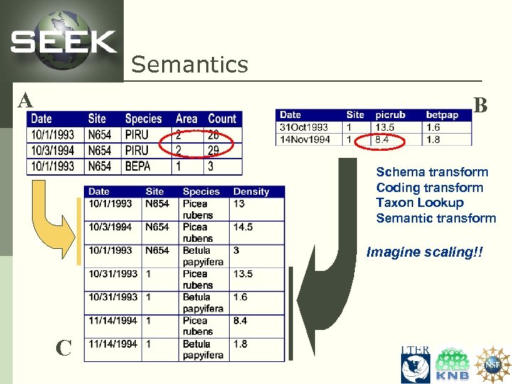 Semantics A B • • Schema transform Coding transform Taxon Lookup Semantic transform Imagine