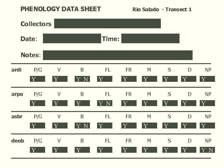 PHENOLOGY DATA SHEET Collectors Date: Notes: ardi Troy Maddux 16 May 1991 Time: V