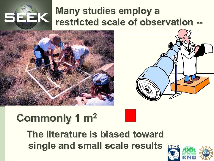 Many studies employ a restricted scale of observation -- Commonly 1 m 2 The