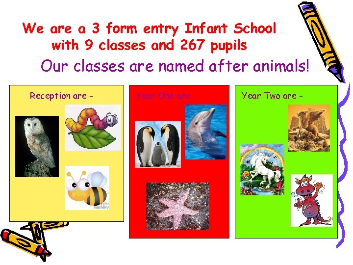 We are a 3 form entry Infant School with 9 classes and 267 pupils