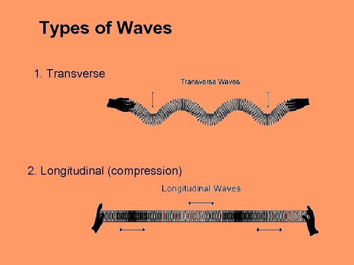 Types of Waves 1. Transverse 2. Longitudinal (compression) 