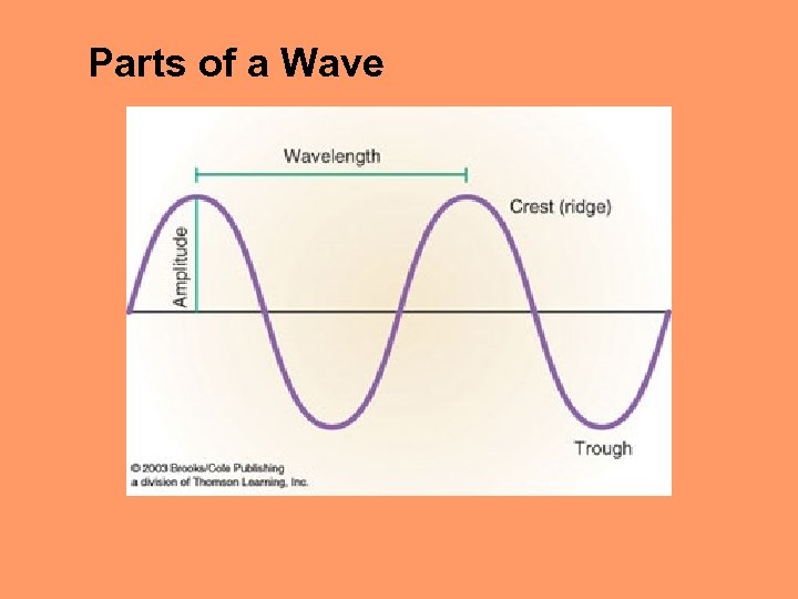 Parts of a Wave 