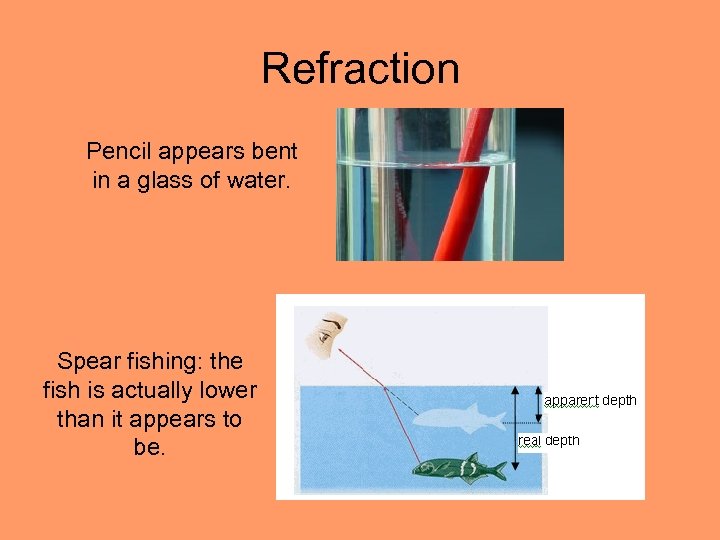 Refraction Pencil appears bent in a glass of water. Spear fishing: the fish is