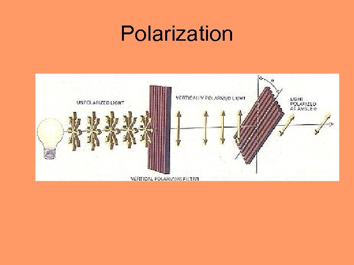 Polarization 